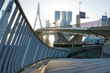 Lijnenspel aan de voet van de Erasmusbrug in Rotterdam van Remco Swiers