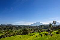 Agung volcano sunrise on the island of Bali in Indonesia