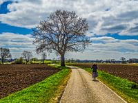 Op Fietsen