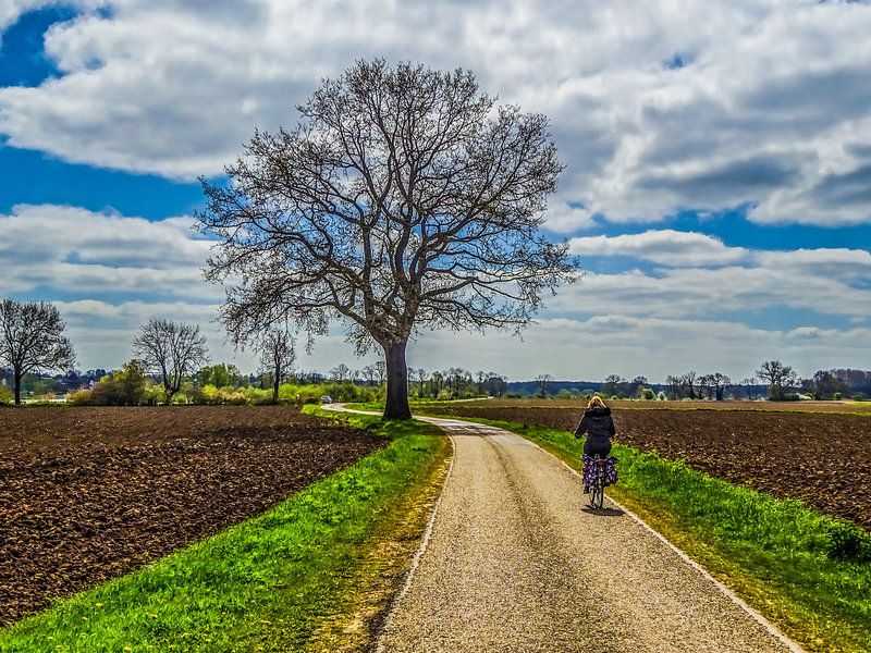 Auf Fahrrädern von Shutter Dreams