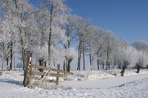 snow-white sur Yvonne Blokland