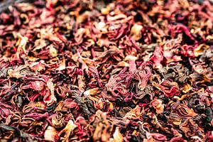 Makro Nahaufnahme mit Details des Hibiskustee Blüte der Malve