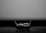 Kroon by Paul Glastra Photography thumbnail
