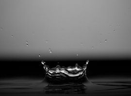 Kroon von Paul Glastra Photography