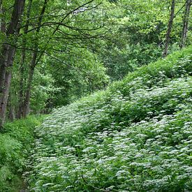 Wandelroute door het romantische Örtzedal van Jürgen Eggers