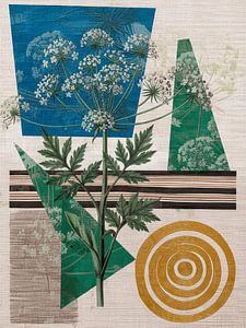 Botanische Wabi-Sabi-Collage mit riesiger Bärenklaue