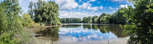 Étangs de Bellefroid, Panorama, Louvain