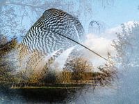 TafeleendHerfstlandschap