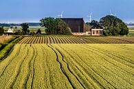 Landschap in Friesland tussen Harlingen en Koehoal van Harrie Muis thumbnail