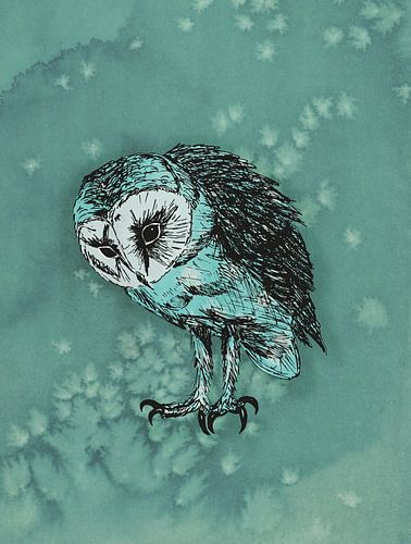 A pen drawing of a barn owl