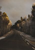 Road Trips während meiner Røros-Reise