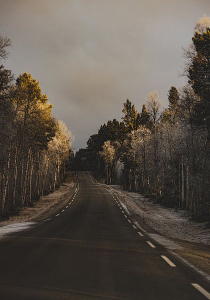 Voyages en voiture pendant mon voyage à Røros par Koen Lipman