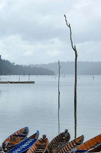 Brokopondo stuwmeer sur Ton de Koning