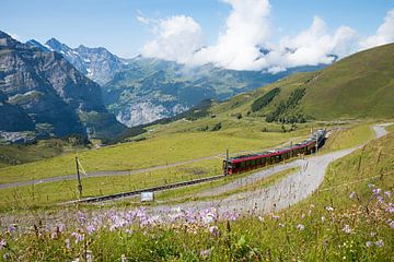 Bergtrein naar Wengernalp, Kleine Scheidegg, Zwitserland van SusaZoom