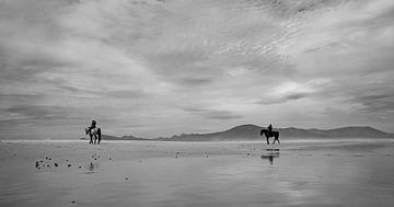 Pferde am Strand (schwarz und weiß) von Hendrik Koppejan