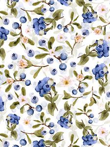 Blaubeeren Wiese