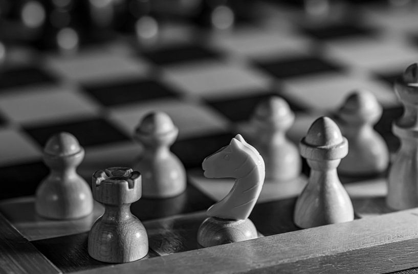 Schach in Schwarz und Weiß von Paul Veen