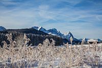 Hoarfrost au lac Gerold