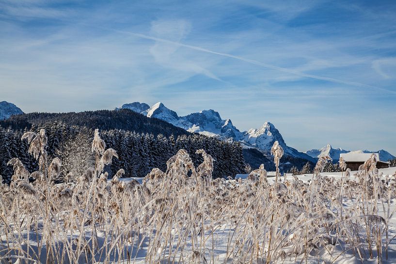 Raureif am Geroldsee von Fabian Roessler