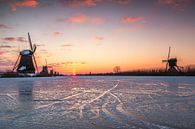 Koude zonsopkomst in Kinderdijk van Ilya Korzelius thumbnail