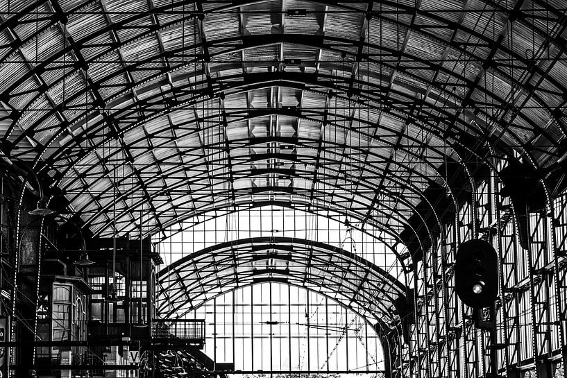 Haarlem station roof by Bart Rondeel