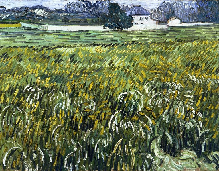 Weizenfeld in Auvers mit dem weißen Haus, Vincent van Gogh - 1890 von Het Archief