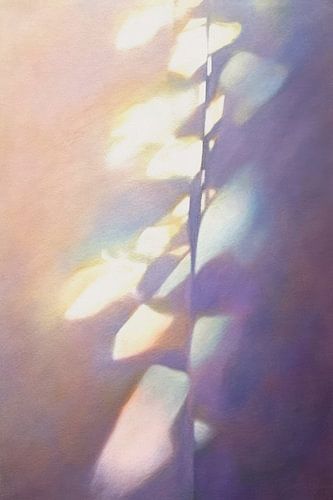 Shadows On The Wall No 7