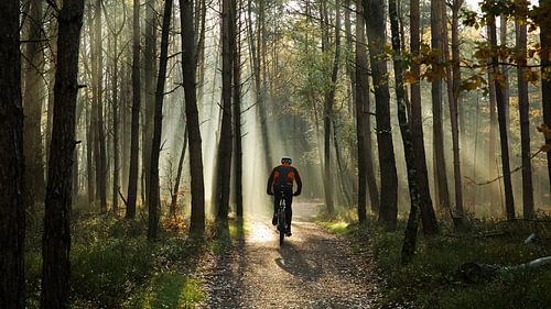 Vroege fietser in het bos bij zonsopkomst