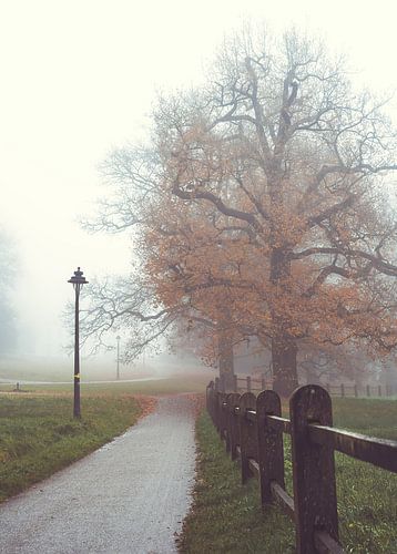 Park Sonsbeek part 5