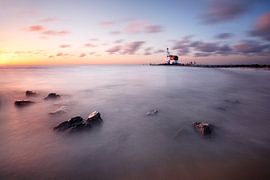 Paard van Marken in ochtendgloren van Mark Leeman