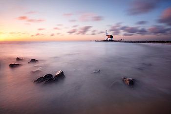 Pferd von Marken in der Morgendämmerung