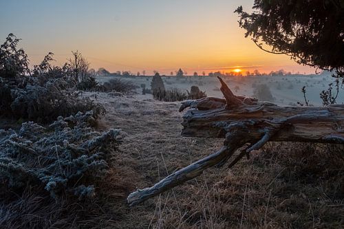 Eselsburger Tal - Schwäbische Alb