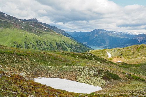 Lentebloemenpracht in de bergen van Vinschgau – alpenklokjes, wollegras en alpenweiden tegen een indrukwekkende achtergrond van bergtoppen.