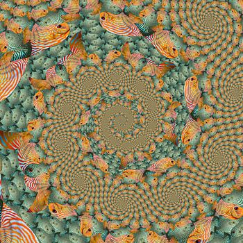 Spiraal van Spiralen van Tropische Vissen