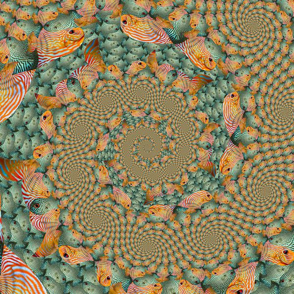 Spirals of Tropical Fish by Tis Veugen
