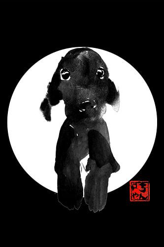 schattige hond in het wit