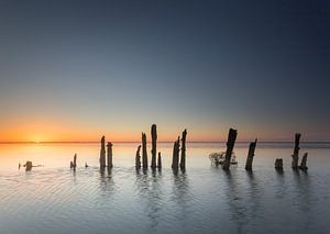 Paaltjes Moddergat Friesland van Martijn van Dellen