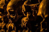 Doodshoofd Catacomben van Parijs par Melvin Erné Aperçu