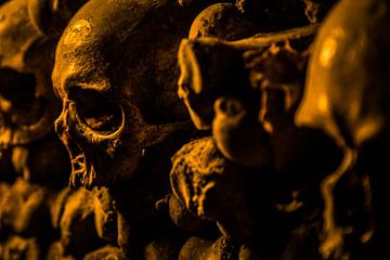 Skull of the Catacombs of Paris von Melvin Erné