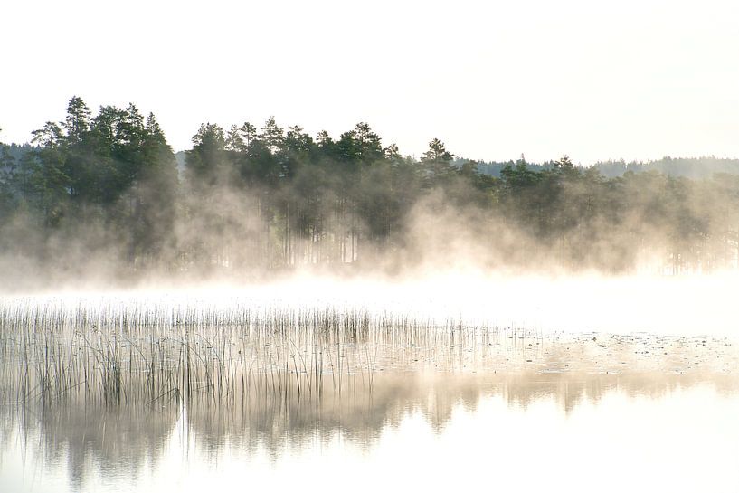 Lever de soleil avec formation de brouillard sur un lac en Suède, à l'aube par Martin Köbsch
