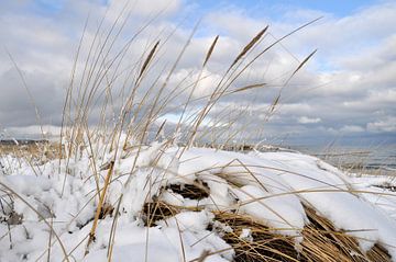 besneeuwde duinen aan het noordelijk strand in Göhren op het eiland Rügen van GH Foto & Artdesign
