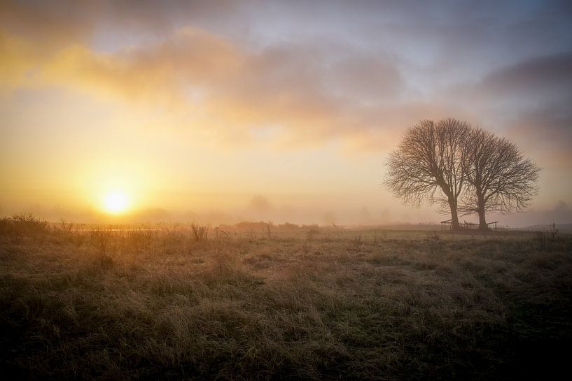 Lentevreugd Wassenaar on a beautiful morning by Dirk van Egmond