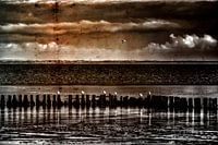 ameland in zicht