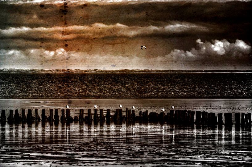 ameland in zicht by JF art