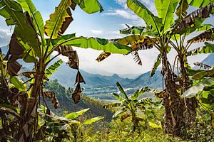 Schauen Sie durch die Landschaft von Laos
