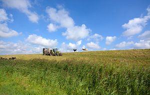 Hollandse polder  van Remco Van Daalen