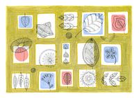 Delicate Line Drawings of Leaves and Flowers