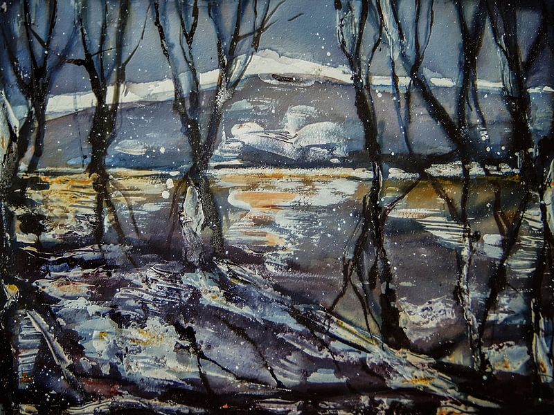 Mystère - forêt alluviale par Christine Nöhmeier