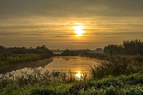 Prachtige zonsopgang in natuurgebied "Rottige Meente"