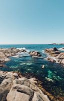 Carefree floating in a natural pool